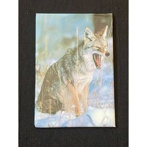 Coyote By Thomas D. Mangelsen Magnet VINTAGE